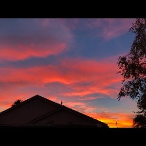 Meet your Posher, Viv